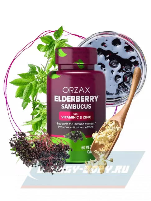 Orzax Elderberry Sambucus (Vitamin C & Zinc) 60 веган капсул