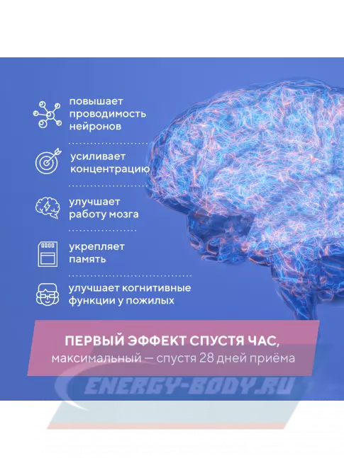Академия-Т Когни Буст 60 капсул  Академия-Т Когни Буст 60 капсул