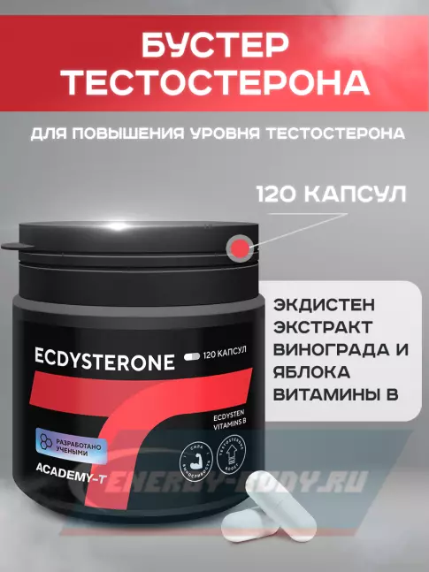 Академия-Т Ecdysterone 120 капсул  Академия-Т Ecdysterone 120 капсул