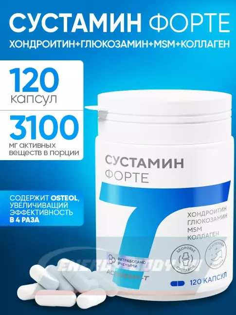 Суставы, связки Академия-Т SUSTAMIN FORTE 120 капсул Суставы, связки Академия-Т SUSTAMIN FORTE 120 капсул