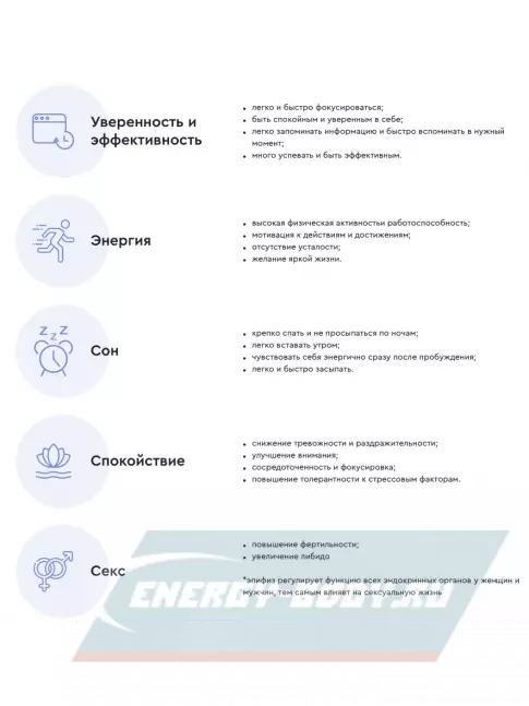  Vitual Laboratories Protector 3 Plus 60 капсул