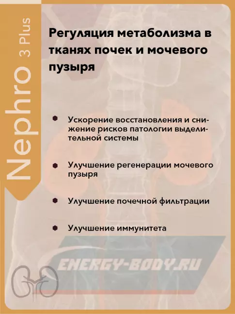  Vitual Laboratories Nephro 3 Plus 60 капсул