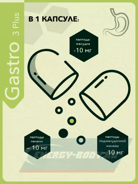  Vitual Laboratories Gastro 3 Plus 60 капсул