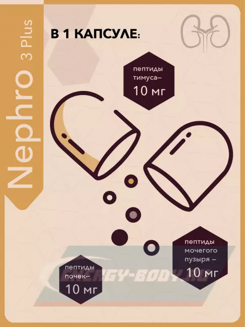  Vitual Laboratories Nephro 3 Plus 60 капсул