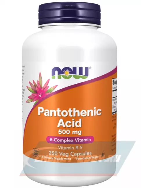  NOW FOODS Pantothenic Acid 500 mg Vitamin B-5 250 веган капсул