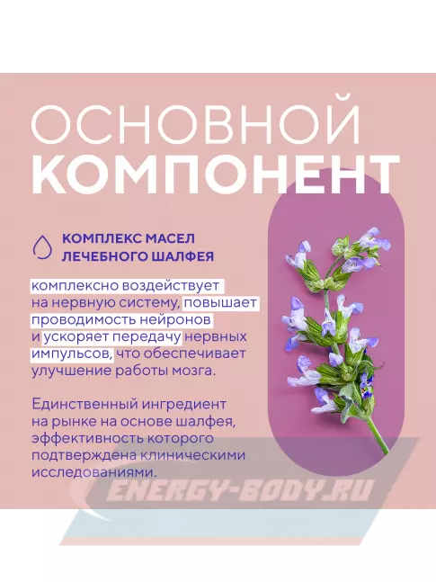 Академия-Т Когни Буст 60 капсул  Академия-Т Когни Буст 60 капсул