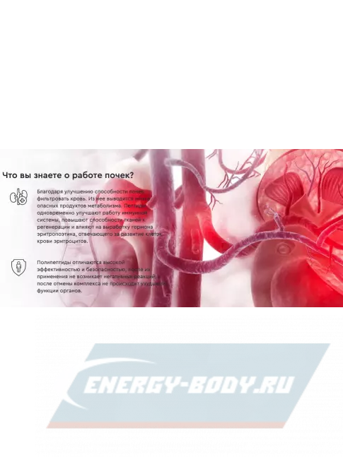  Vitual Laboratories Nephro 3 Plus 60 капсул