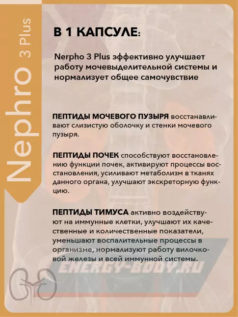  Vitual Laboratories Nephro 3 Plus 60 капсул