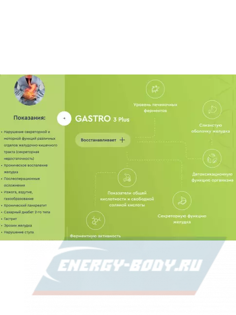  Vitual Laboratories Gastro 3 Plus 60 капсул
