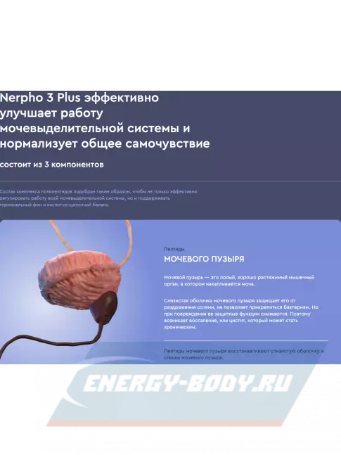  Vitual Laboratories Nephro 3 Plus 60 капсул