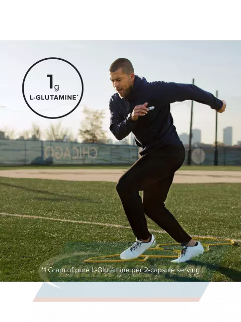 Глютамин Optimum Nutrition Glutamine 240 капсул