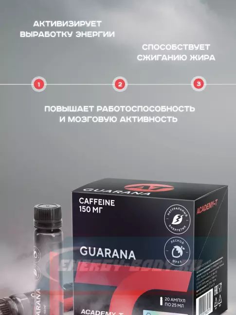 Энергетик Академия-Т Guarana 25 мл., Лесной орех Энергетик Академия-Т Guarana 25 мл., Лесной орех