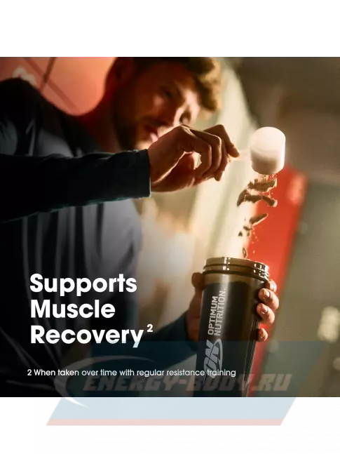  Optimum Nutrition 100% Whey Gold Standard 704 г, Мятное печенье