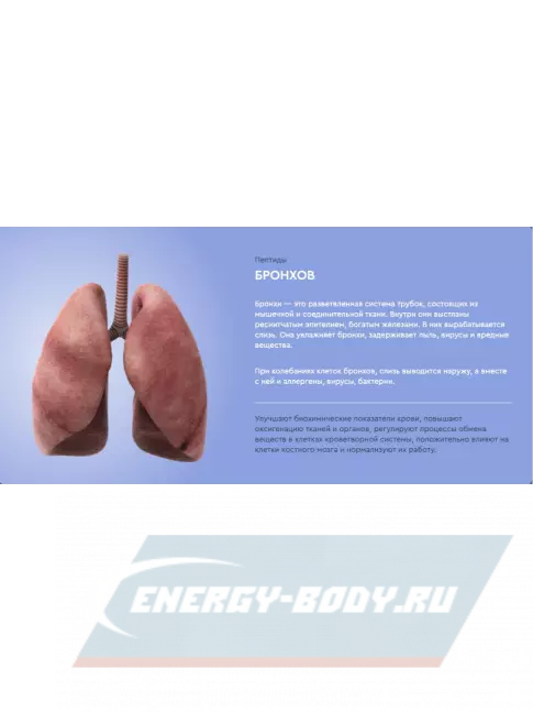  Vitual Laboratories Respiro 3 Plus пептиды бронхов 60 капсул