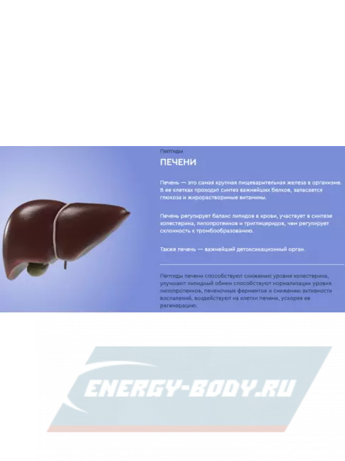  Vitual Laboratories Gastro 3 Plus 60 капсул