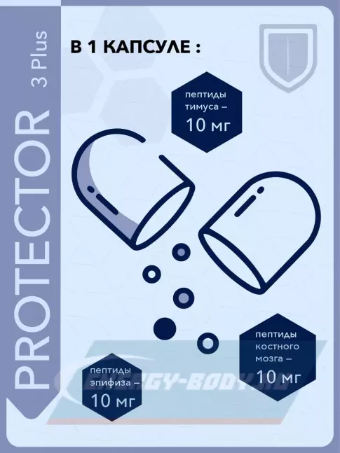  Vitual Laboratories Protector 3 Plus 60 капсул