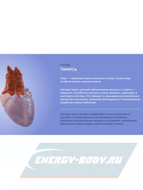  Vitual Laboratories Protector 3 Plus 60 капсул