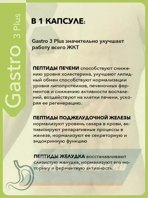  Vitual Laboratories Gastro 3 Plus 60 капсул
