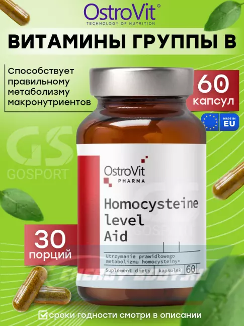  OstroVit Pharma Homocysteine Level Aid 60 капсул