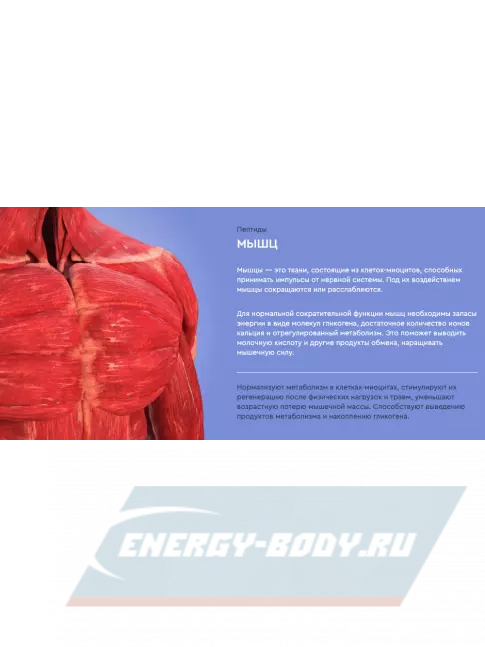  Vitual Laboratories Recovery 5 Plus 60 капсул