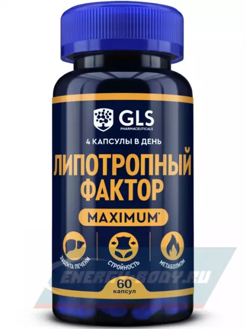  GLS pharmaceuticals Липотропный фактор maximum 60 капсул