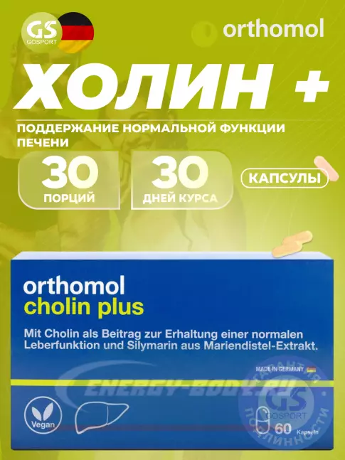  Orthomol Cholin Plus 60 капсул