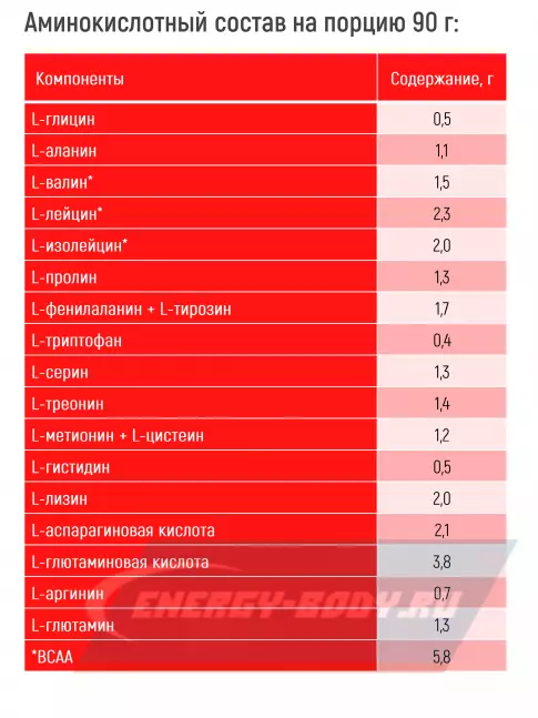 Гейнер Академия-Т Sportein Gainer 2500 г, Шоколад