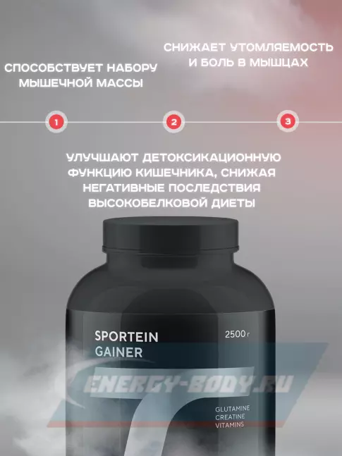 Гейнер Академия-Т Sportein Gainer 2500 г, Шоколад