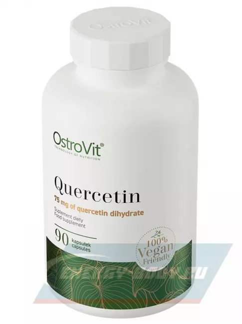  OstroVit Quercetin 90 капсул