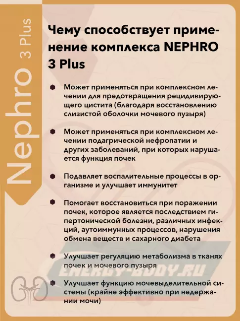  Vitual Laboratories Nephro 3 Plus 60 капсул
