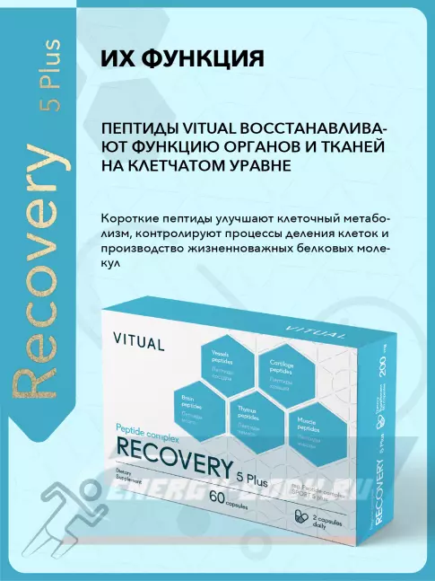  Vitual Laboratories Recovery 5 Plus 60 капсул