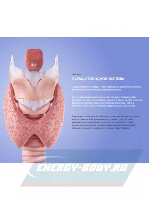  Vitual Laboratories Lady 3 Plus 60 капсул