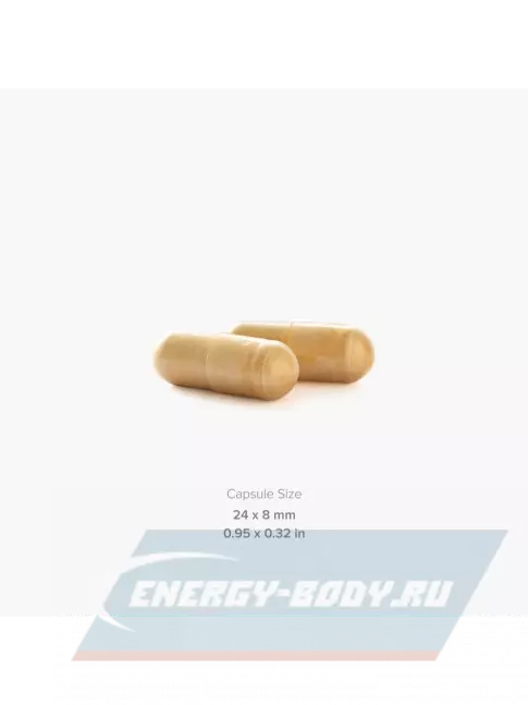  MAXLER Turmeric Curcumin with Bioperine 90 веганских капсул