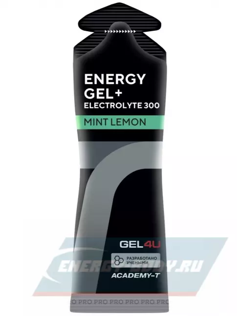 Энергетический гель GEL4U Energy Gel+electrolyte 300 4 х 60 г, Лесные ягоды, лимон и мята