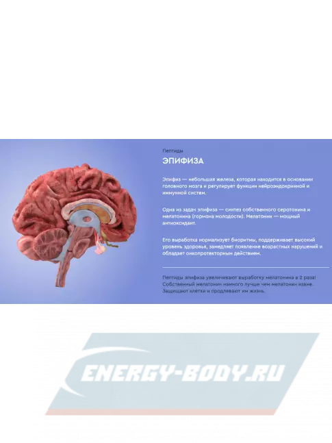  Vitual Laboratories Protector 3 Plus 60 капсул
