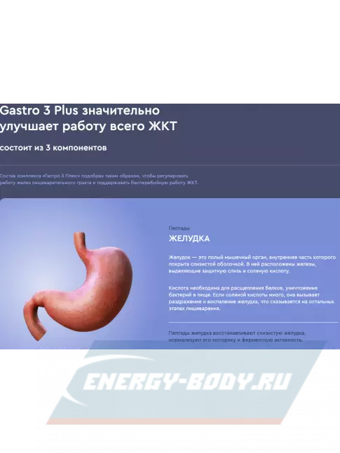  Vitual Laboratories Gastro 3 Plus 60 капсул