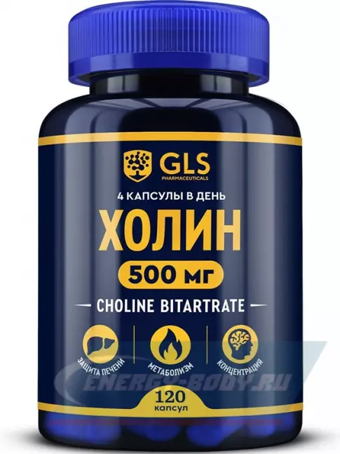  GLS pharmaceuticals Холин (холина битартрат) 120 капсул