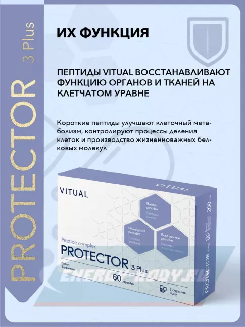  Vitual Laboratories Protector 3 Plus 60 капсул
