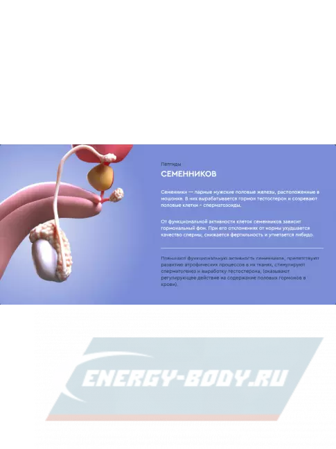  Vitual Laboratories Polo 3 Plus 60 капсул