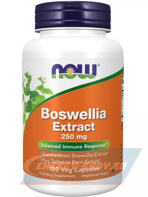  NOW FOODS Boswellia Extract - Экстракт босвелии 250 мг 120 капсул