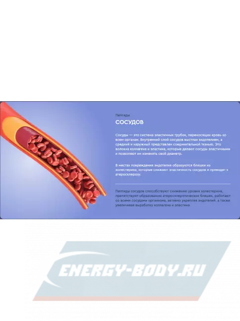  Vitual Laboratories Lady 3 Plus 60 капсул