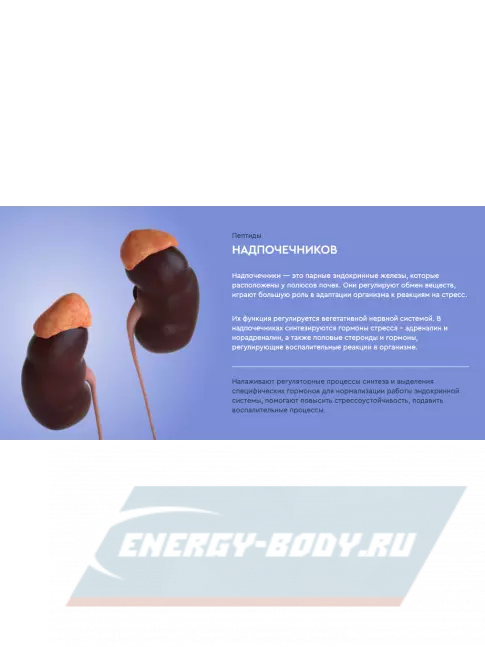  Vitual Laboratories Polo 3 Plus 60 капсул