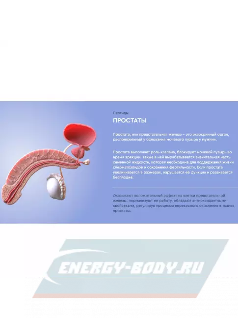  Vitual Laboratories Polo 3 Plus 60 капсул
