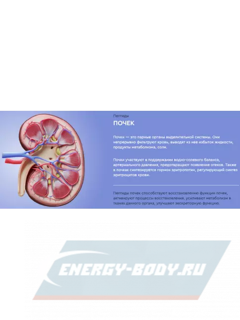  Vitual Laboratories Nephro 3 Plus 60 капсул