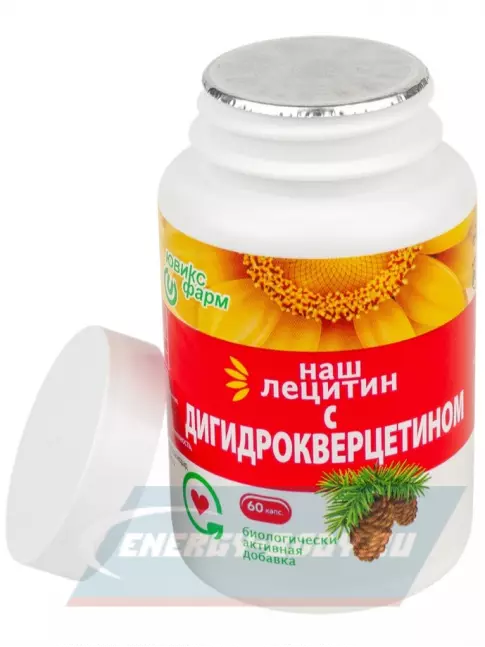 Omega 3 НАШ ЛЕЦИТИН с Дигидрокверцетином 60 капсул
