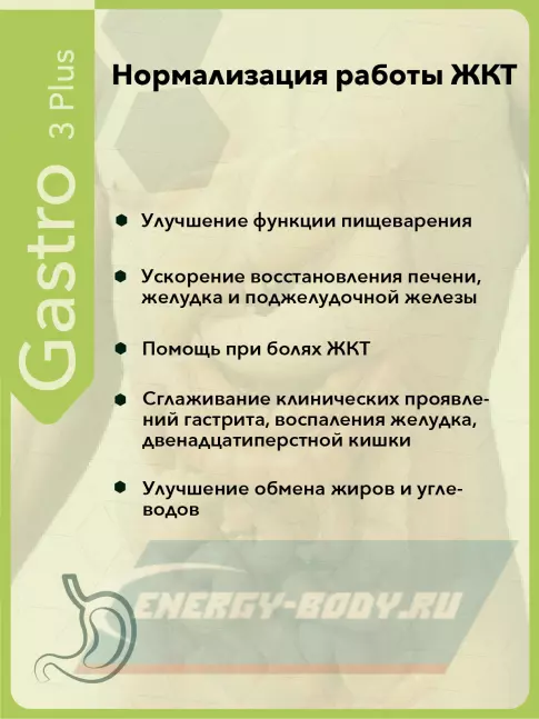  Vitual Laboratories Gastro 3 Plus 60 капсул
