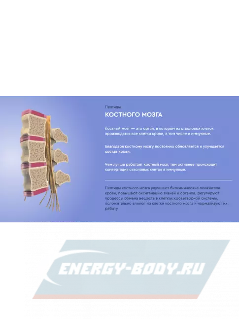  Vitual Laboratories Protector 3 Plus 60 капсул