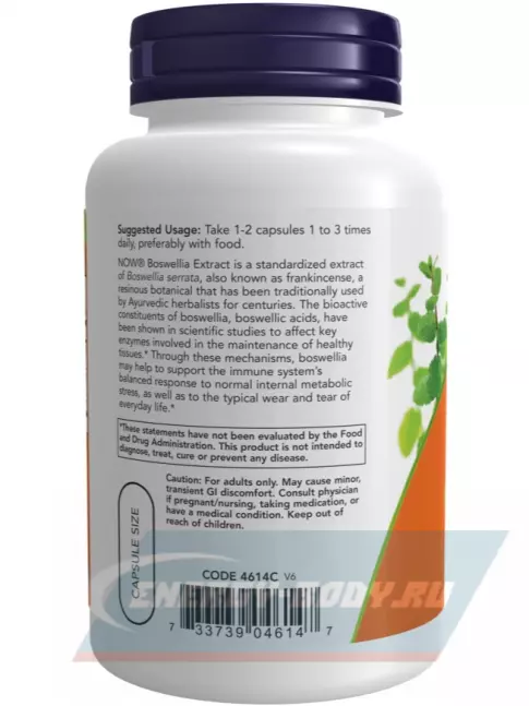  NOW FOODS Boswellia Extract - Экстракт босвелии 250 мг 120 капсул