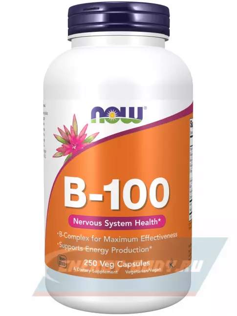  NOW FOODS B-100 Complex 250 веган капсул