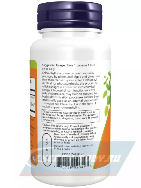  NOW FOODS Chlorophyll 100 mg 90 веган капсул